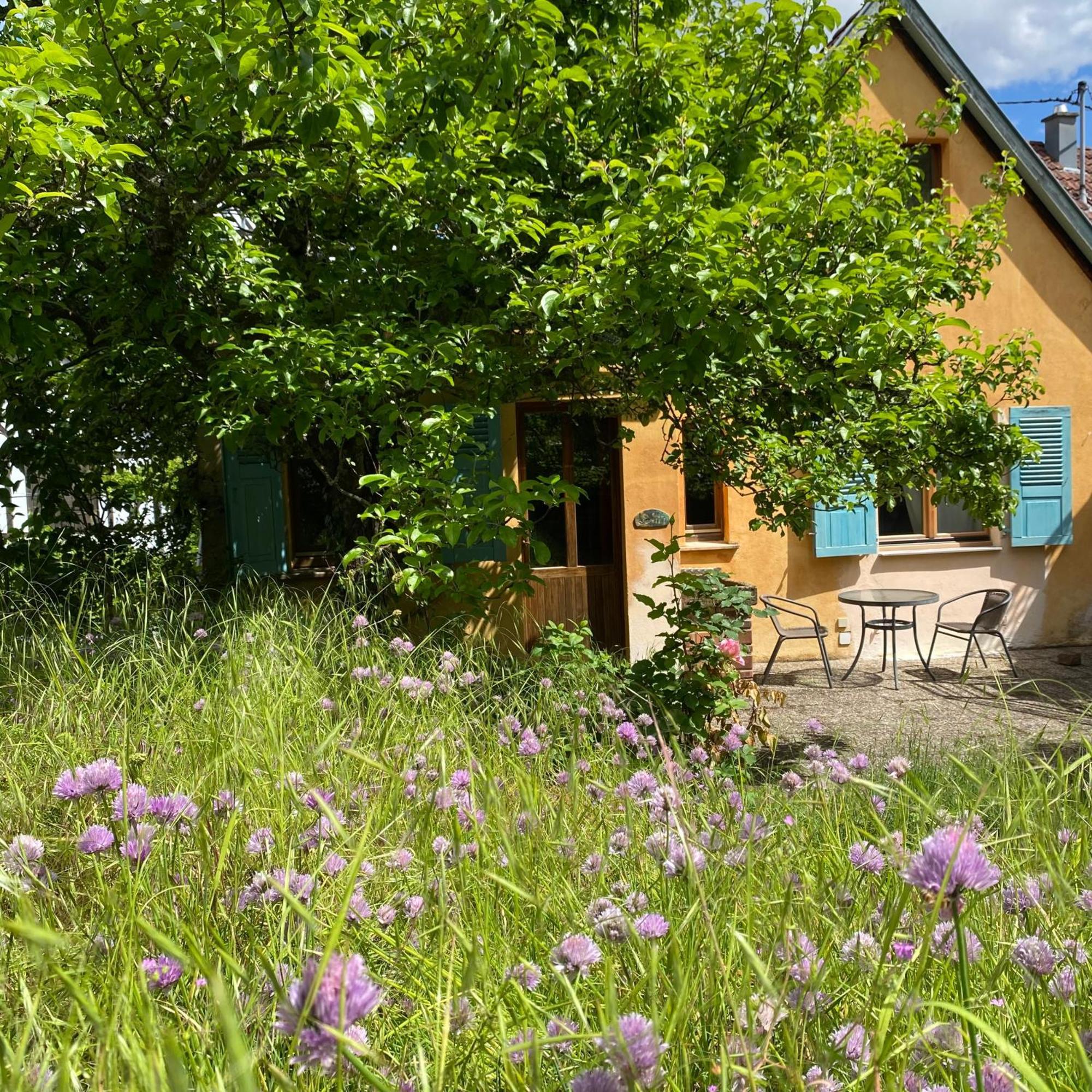 Ecologis Du Vignoble Villa Katzenthal Dış mekan fotoğraf