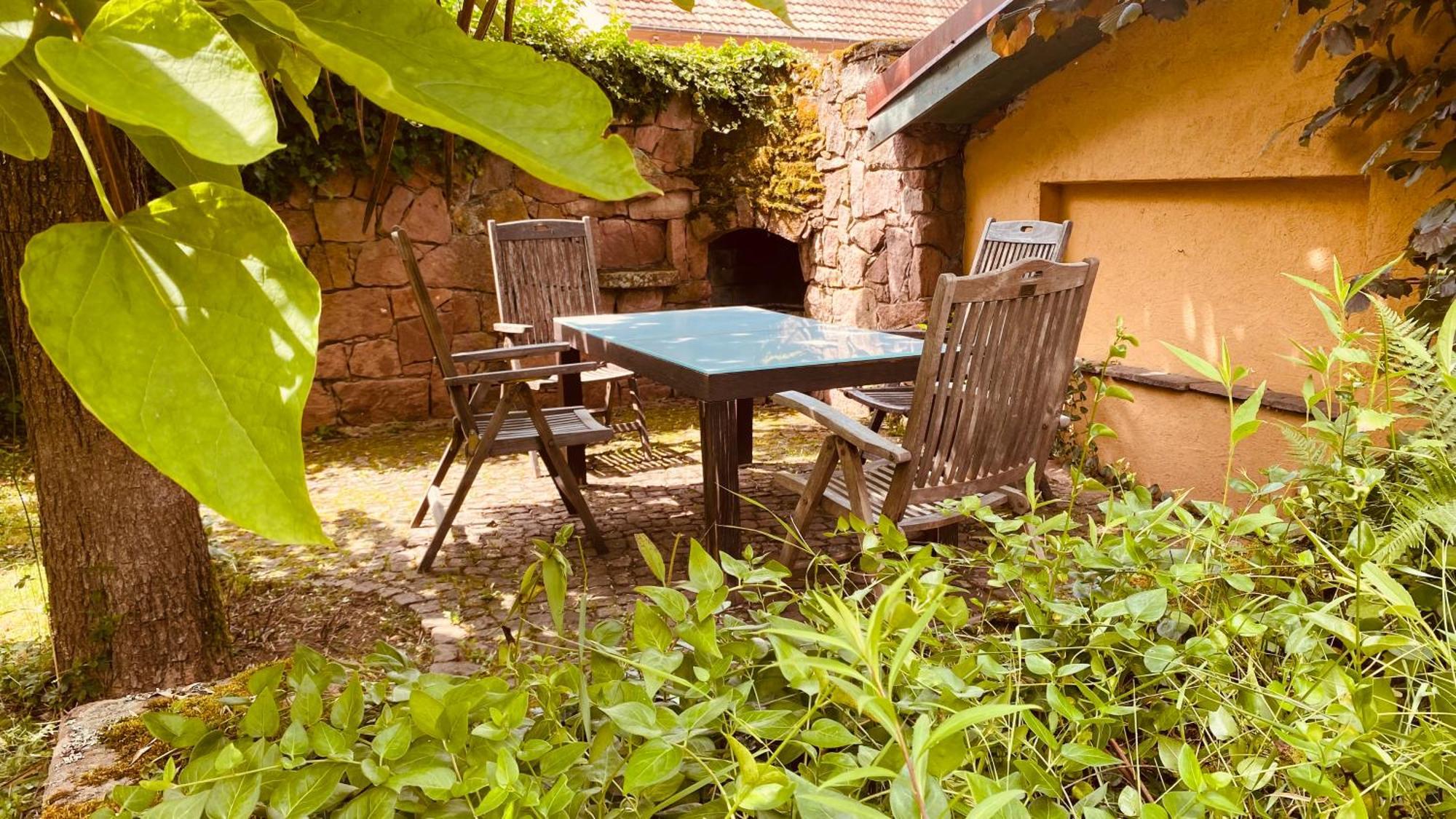 Ecologis Du Vignoble Villa Katzenthal Dış mekan fotoğraf