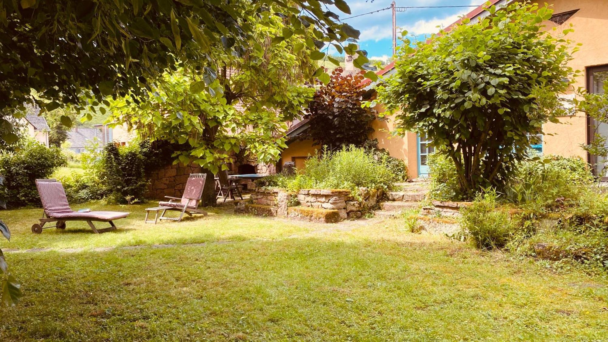 Ecologis Du Vignoble Villa Katzenthal Dış mekan fotoğraf