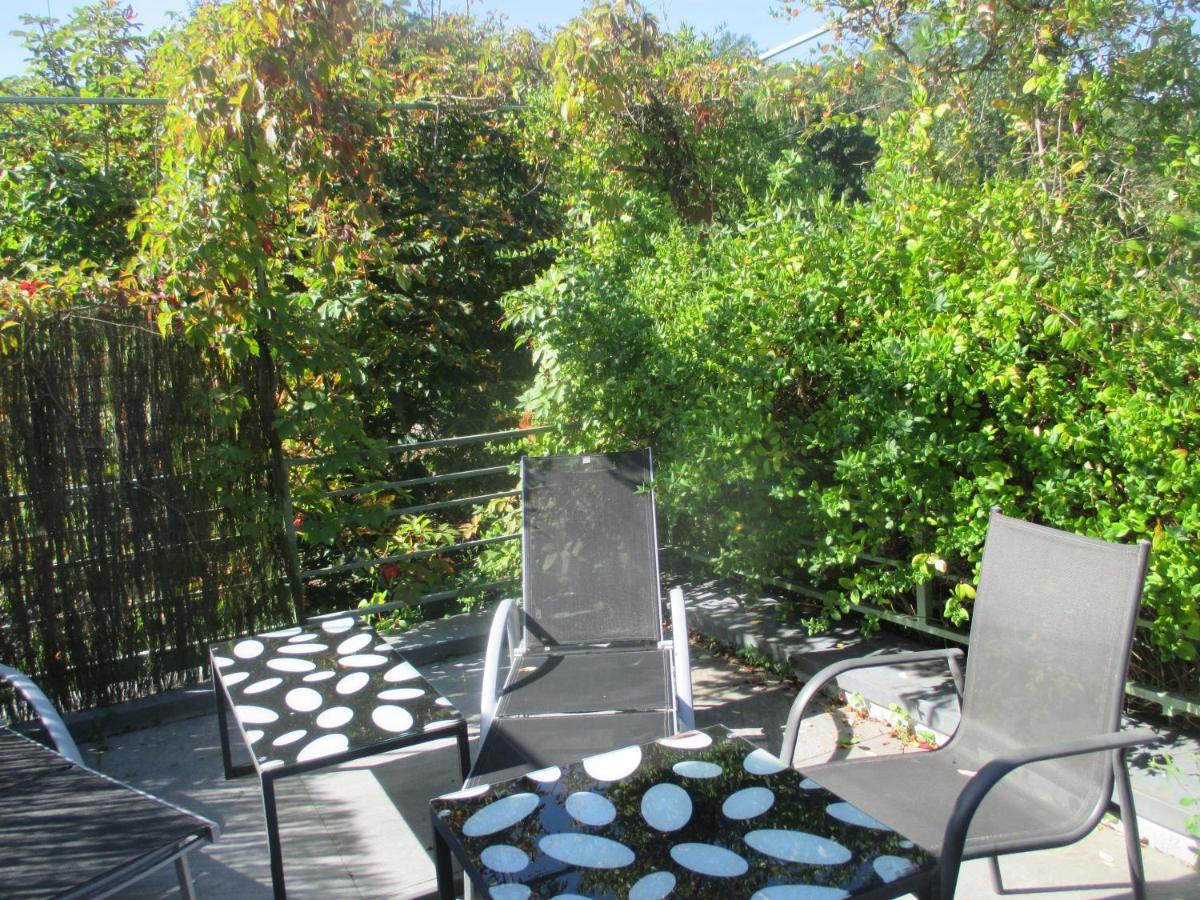 Ecologis Du Vignoble Villa Katzenthal Dış mekan fotoğraf